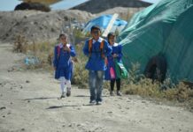 Abaza Paşa devlete baş