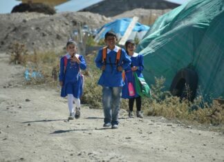 Abaza Paşa devlete baş