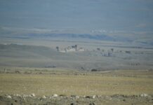 Bağbozumu’nda Türkiye’deki en iyi şarapları yaptık